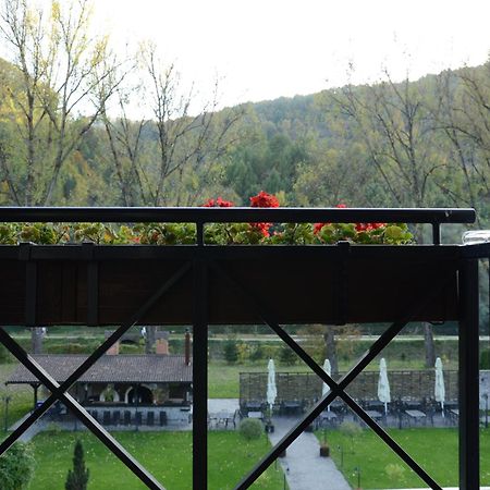 Hotel Gradina Morii Сигету-Мармацией Экстерьер фото