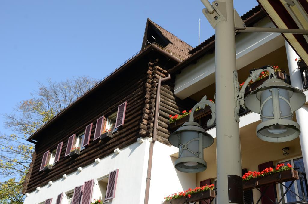 Hotel Gradina Morii Сигету-Мармацией Экстерьер фото