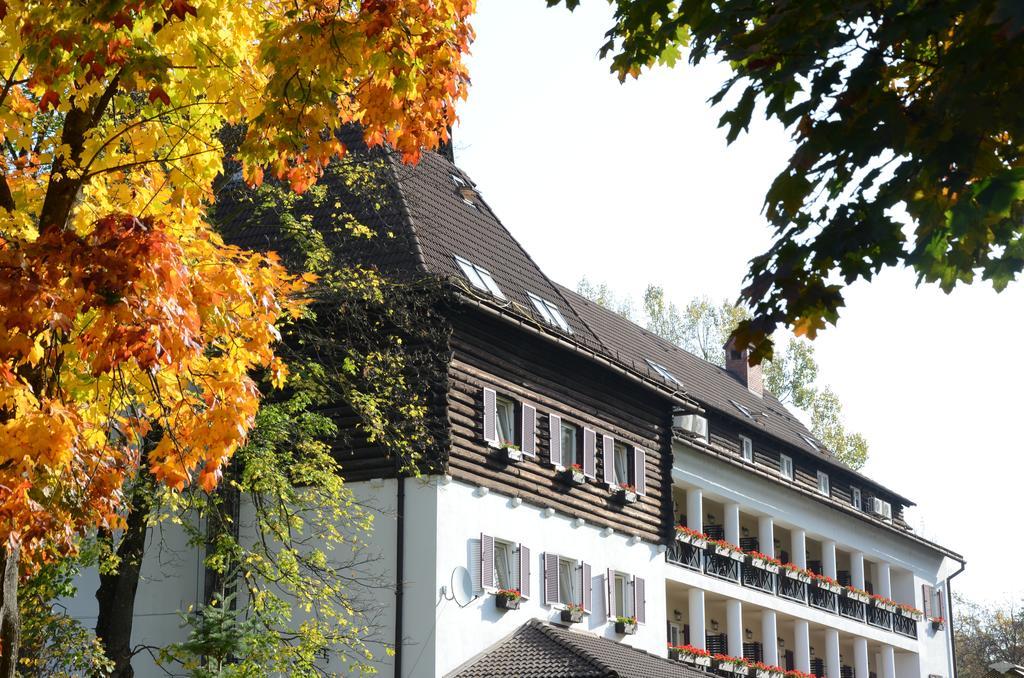 Hotel Gradina Morii Сигету-Мармацией Экстерьер фото