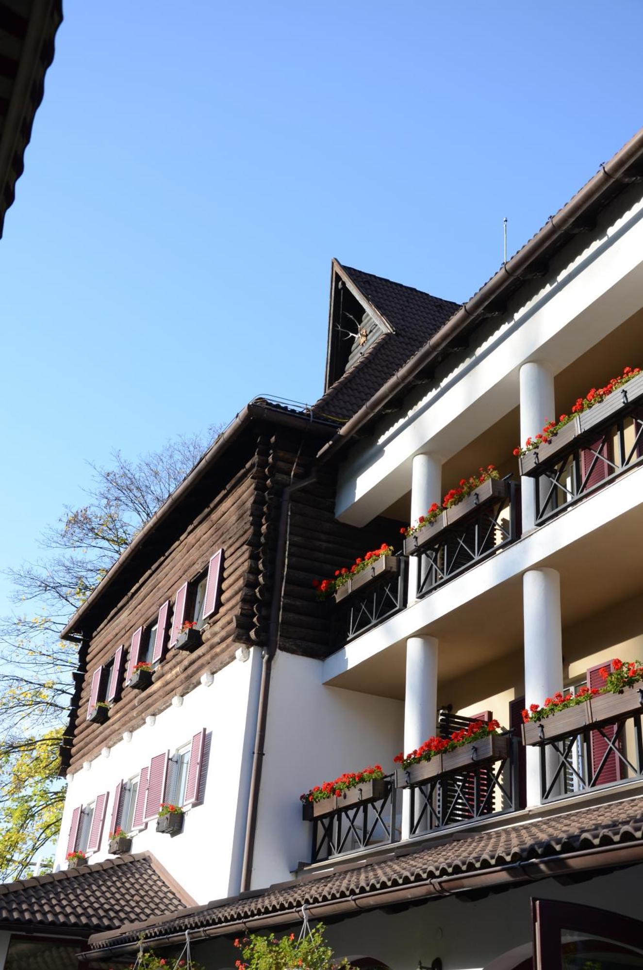 Hotel Gradina Morii Сигету-Мармацией Экстерьер фото