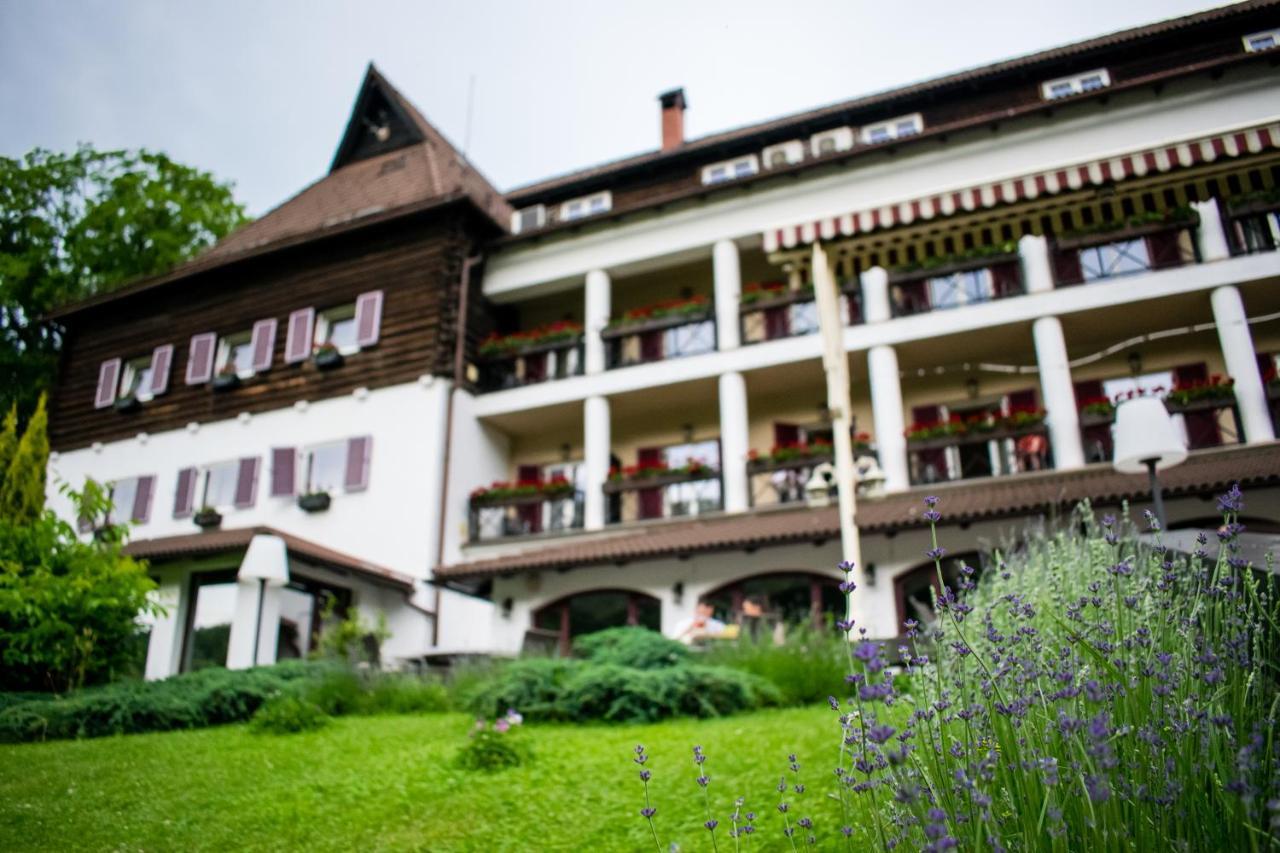 Hotel Gradina Morii Сигету-Мармацией Экстерьер фото